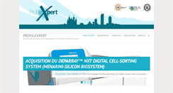 Desktop Screenshot of profilexpert.fr